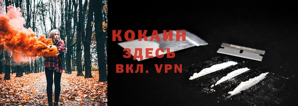 твердый Алексин
